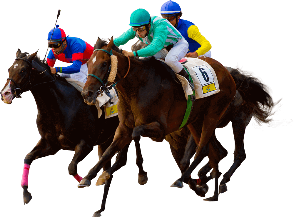 horse-racing-best-sports-betting-sites